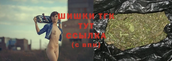 дживик Ладушкин