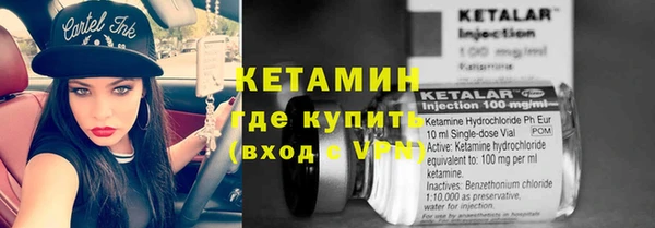 сатива Лабытнанги