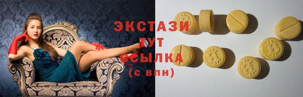 сатива Лабытнанги