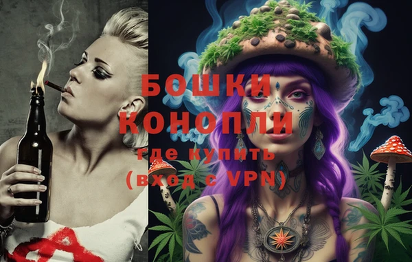 дживик Ладушкин
