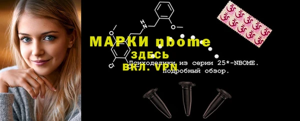 сатива Лабытнанги