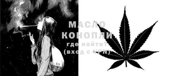 сатива Лабытнанги