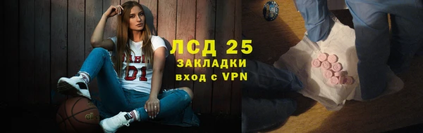 сатива Лабытнанги