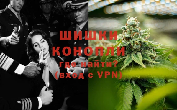 сатива Лабытнанги