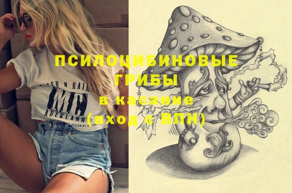 сатива Лабытнанги
