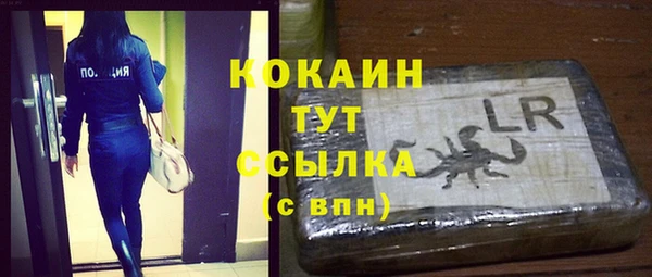 дживик Ладушкин