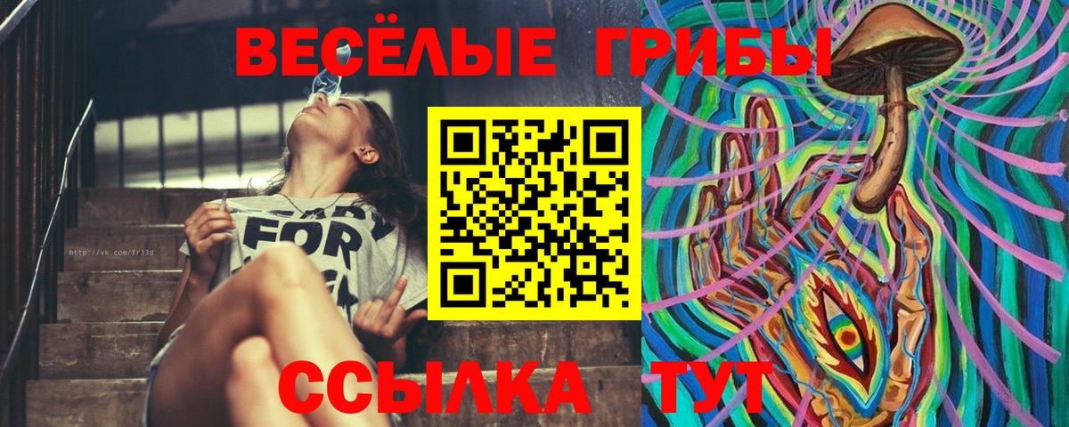 где можно купить   Вход с VPN  Шатура  Галлюциногенные грибы MAGIC MUSHROOMS 