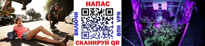 Шишки марихуана ГИДРОПОН  где купить   Шатура 